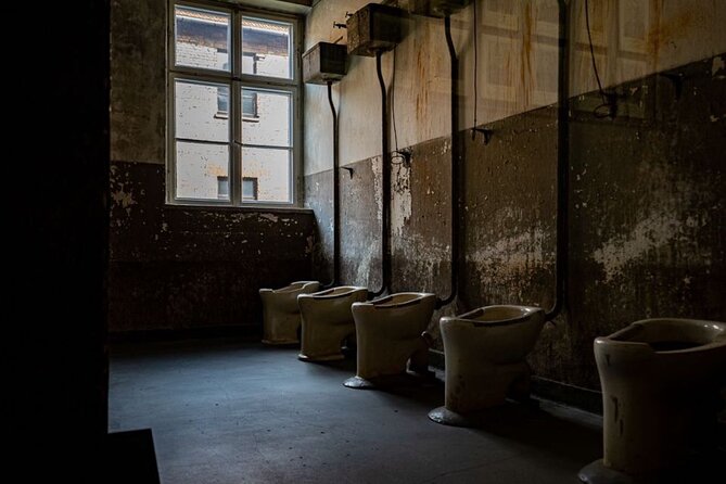 From Krakow: Auschwitz-Birkenau Full-Day Tour - Challenges and Considerations