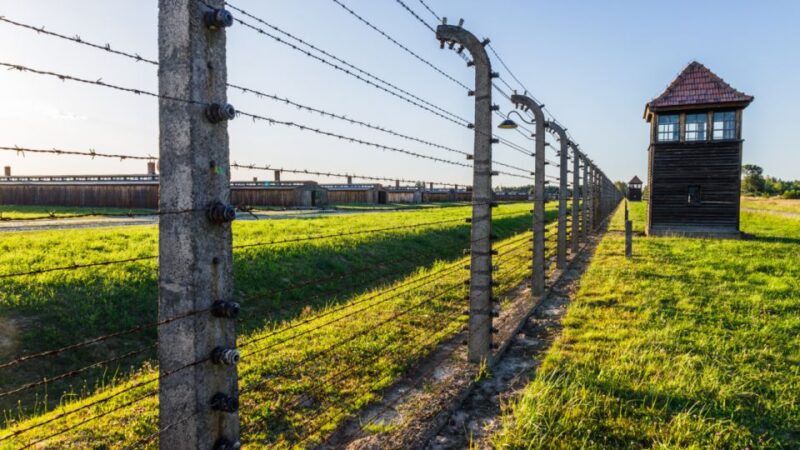 From Krakow: Auschwitz & Birkenau Fully Guided Tour & Pickup - Itinerary and Experience