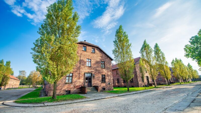 From Krakow: Auschwitz & Birkenau Fully Guided Tour & Pickup - Participant Information
