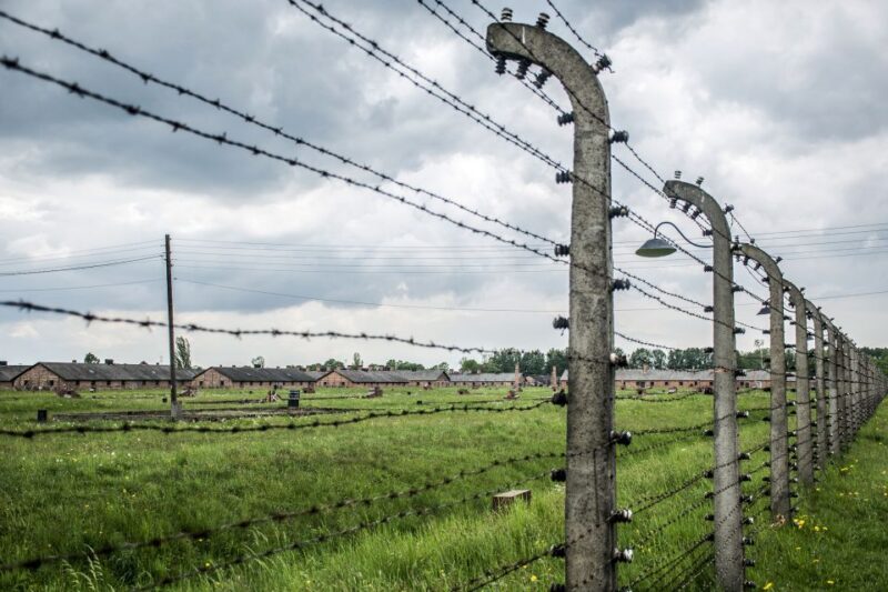 From Krakow: Auschwitz-Birkenau Guided Tour & Pickup Options - Important Information and Requirements