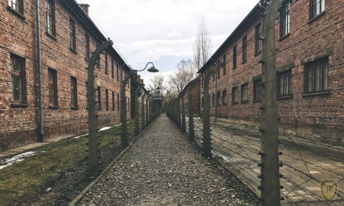 From Krakow: Auschwitz-Birkenau Guided Tour & Pickup Options - Auschwitz-Birkenau Memorial and Museum