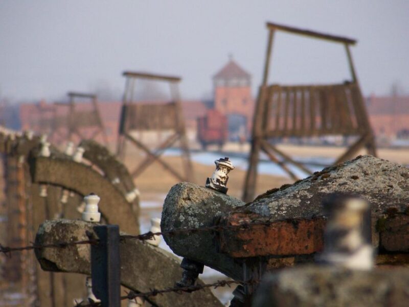 From Krakow: Auschwitz-Birkenau Guided Tour & Pickup - Significance and Historical Insights