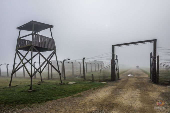 From Krakow: Auschwitz-Birkenau Guided Tour & Pickup - Positive Customer Feedback