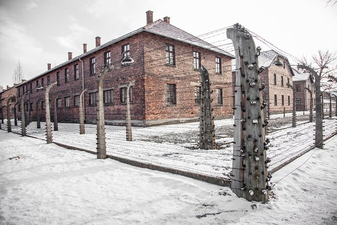 From Krakow: Auschwitz-Birkenau Memorial and Museum Guided Tour - Visiting the Memorial Site