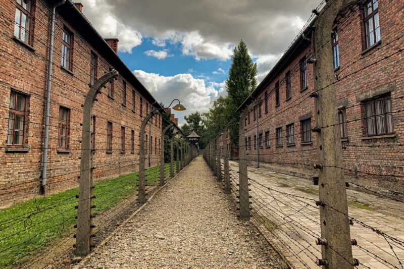From Krakow: Auschwitz-Birkenau Memorial and Museum Tour - Key Points