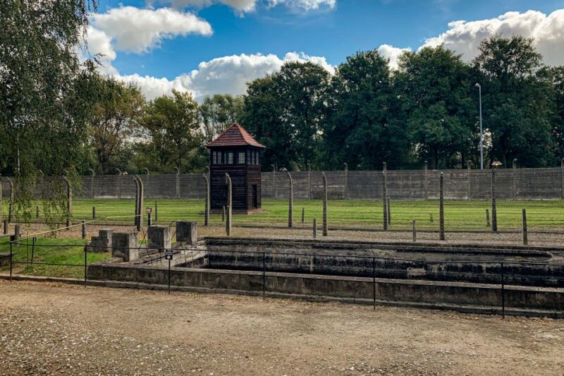 From Krakow: Auschwitz-Birkenau Memorial and Museum Tour - Experience Highlights