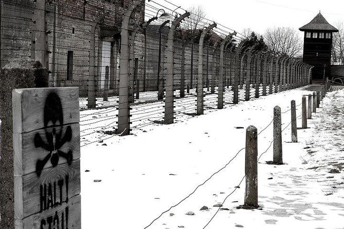 From Krakow: Auschwitz-Birkenau Regular Tour - Private Chauffeur - Transportation and Logistics