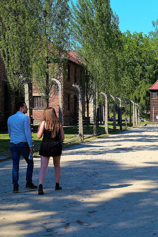 From Krakow: Auschwitz Birkenau Small Group Tour With Pickup - Highlights of the Experience