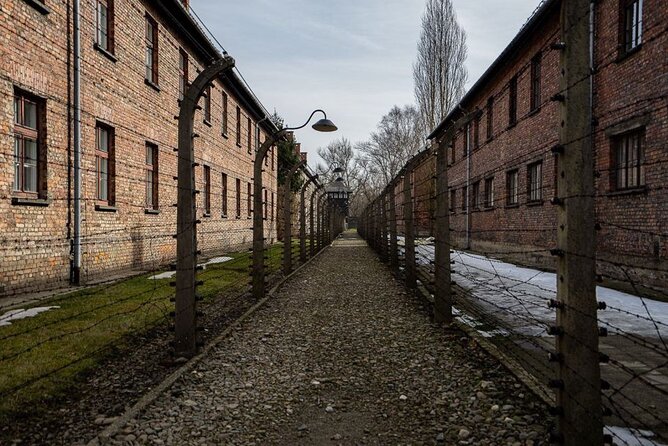From Kraków: Auschwitz-Birkenau Tour With Lunch Box and Pick up - Preparation and Cultural Significance