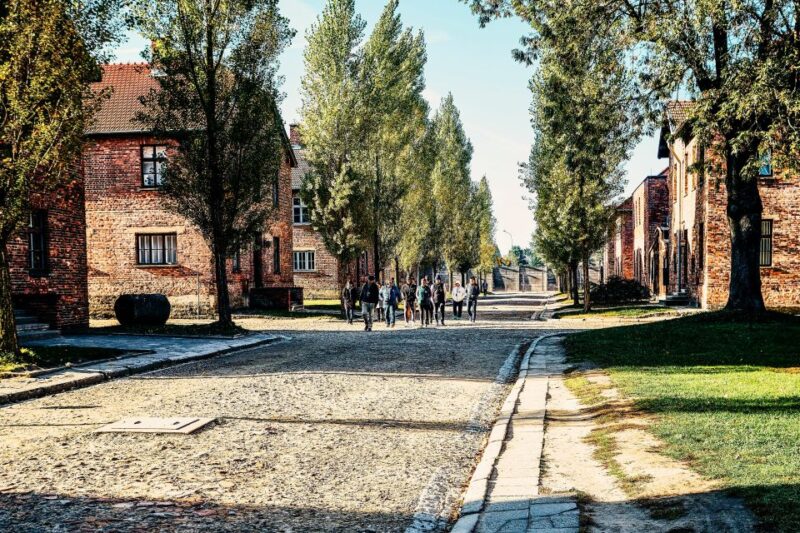 From Krakow: Auschwitz-Birkenau Tour With Transportation - Important Information