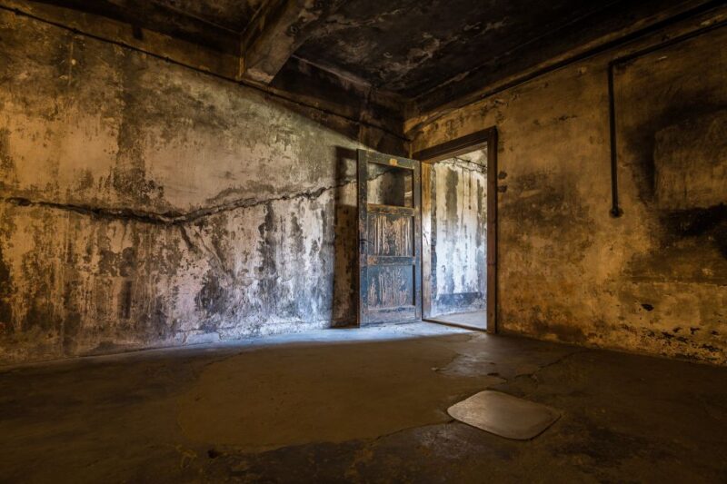 From Krakow: Auschwitz-Birkenau Tour With Transportation - Tour Inclusions