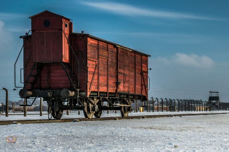 From Krakow: Auschwitz-Birkenau Tour With Transportation - Customer Ratings and Reviews