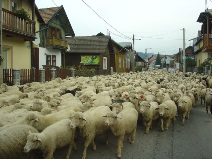 From Krakow: Full-Day Dunajec River Rafting Tour - Frequently Asked Questions