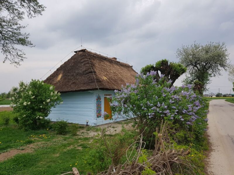 From Krakow: Guided Tour of Zalipie - Key Points