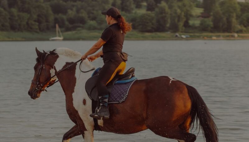 From Krakow: Half-Day Horse Riding by the Lake - Inclusions and Amenities