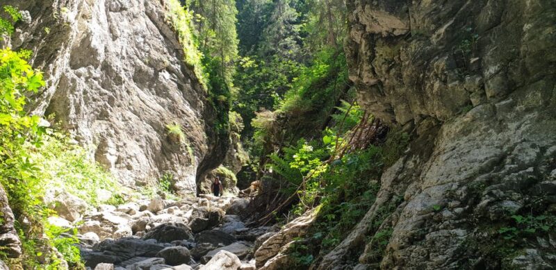 From Krakow: Hiking in the Tatra Mountains and Thermal Baths - Inclusions