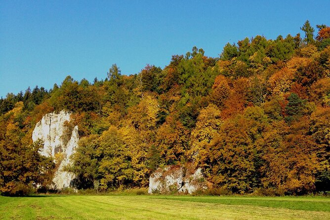 From Krakow: Ojcow National Park and Pieskowa Skala Castle - Tour Logistics