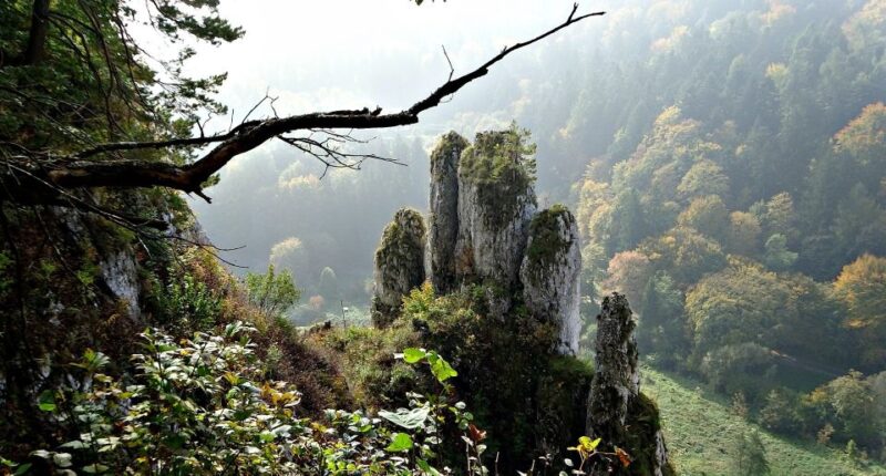 From Krakow: Ojców National Park Tour - Inclusions