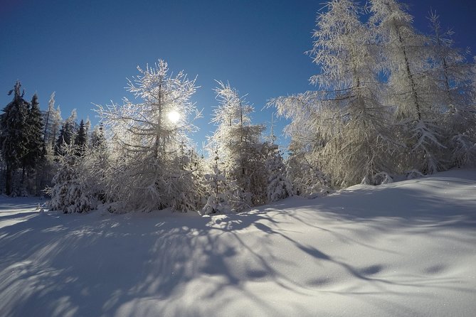 From Krakow: Siepraw Skiing for Beginners - Pricing and Cancellation Policy