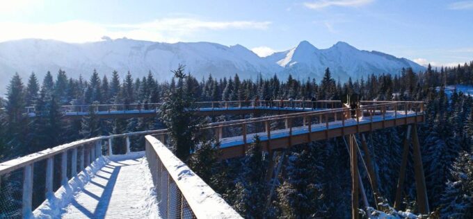 From Kraków: Slovakia Treetop Walk & 4-Hour Ski Pass - Frequently Asked Questions