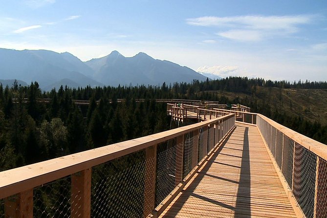 From Krakow: Slovakia Treetop Walk Bachledka and Zakopane - Tour Inclusions