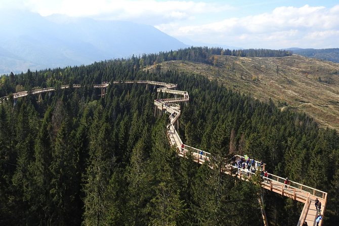 From Krakow: Slovakia Treetop Walk Bachledka and Zakopane - Tour Highlights