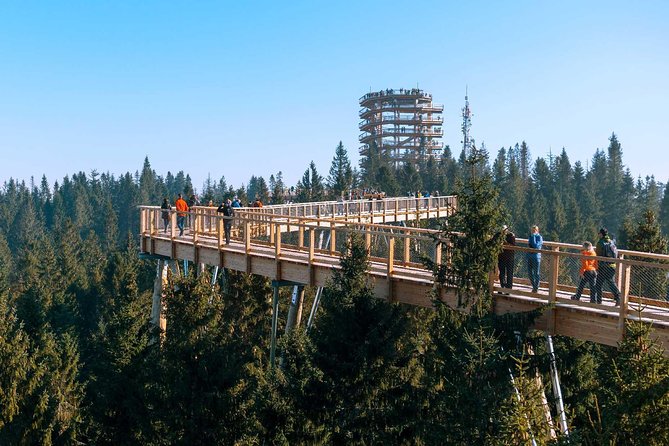 From Krakow: Slovakia Treetop Walk Bachledka and Zakopane - Pieniny National Park Visit