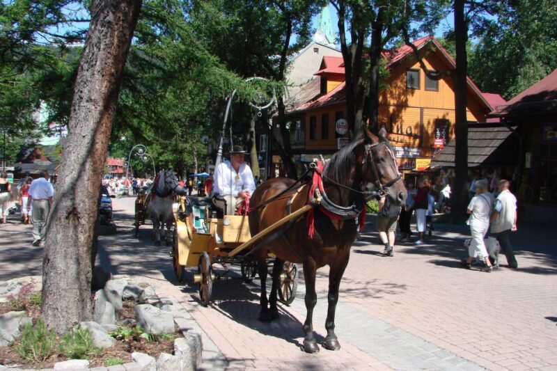 From Krakow: Slovakia Treetop Walk, Zakopane & Thermal Spa - Key Points