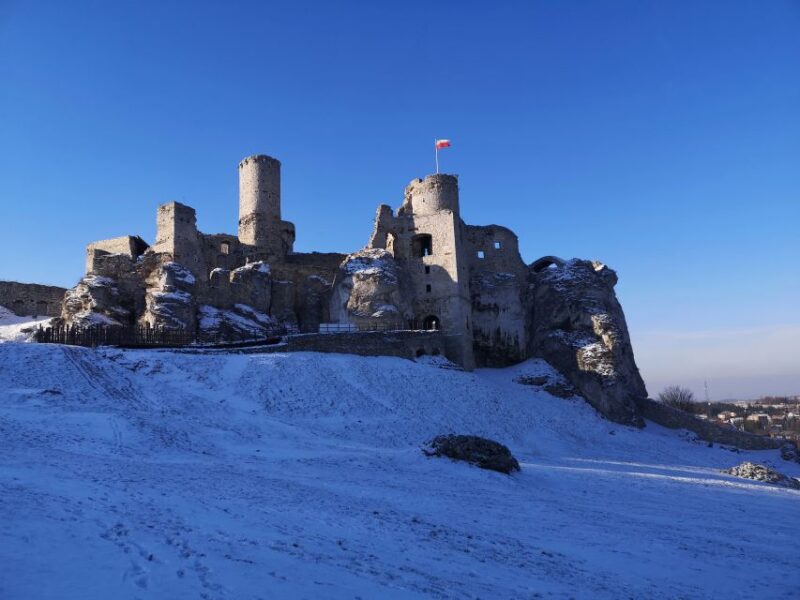 From Krakow: The Witcher Ogrodzieniec Castle Private Trip - Inclusions