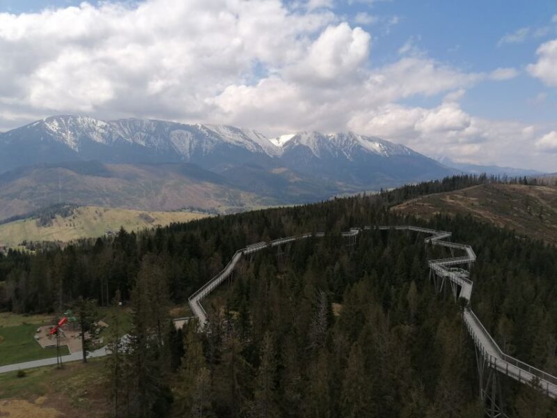 From Krakow: Treetop Walk & Zakopane Visit Small Group Tour - Itinerary Highlights