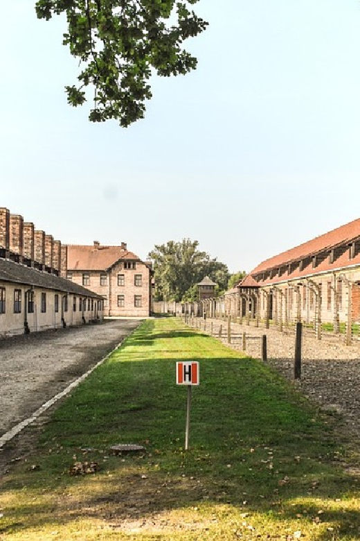 From Krakow: Wieliczka Salt Mine & Auschwitz Guided Trip - Inclusions and Transportation