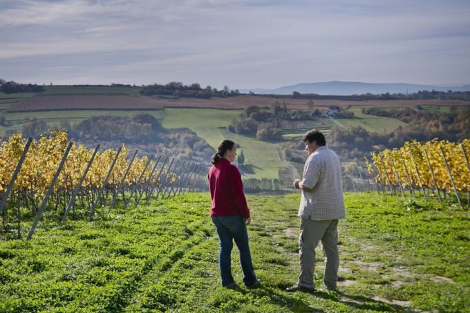 From Krakow: Wine Tasting at Vineyard - Frequently Asked Questions