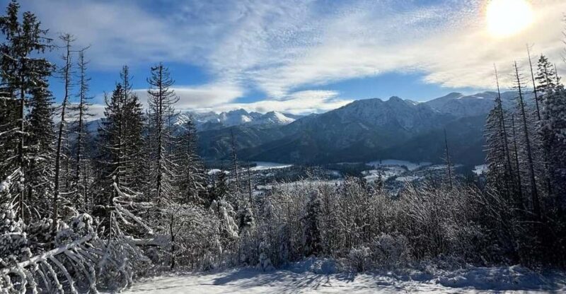 From Krakow: Zakopane Day Trip With Funicular & Food Tasting - Itinerary Highlights