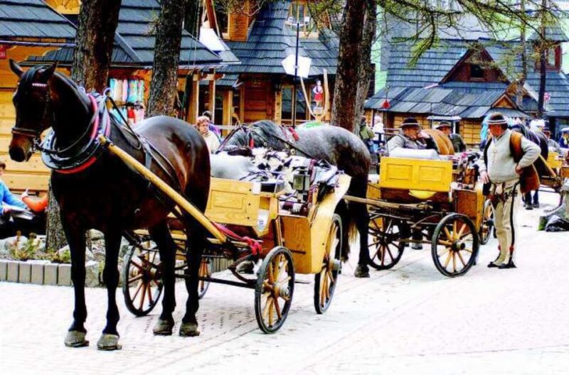 From Kraków: Zakopane Full Day Tour and Thermal Baths - Customer Experience and Reviews