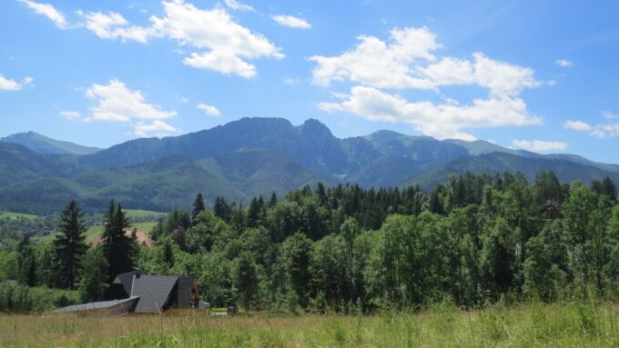 From Krakow: Zakopane Full-Day Tour With Lunch Option - Scenic Views and Activities