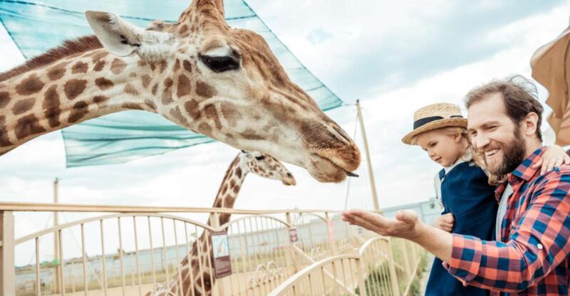 From Krakow: Zoo Trip With Transfer - Itinerary and Transportation