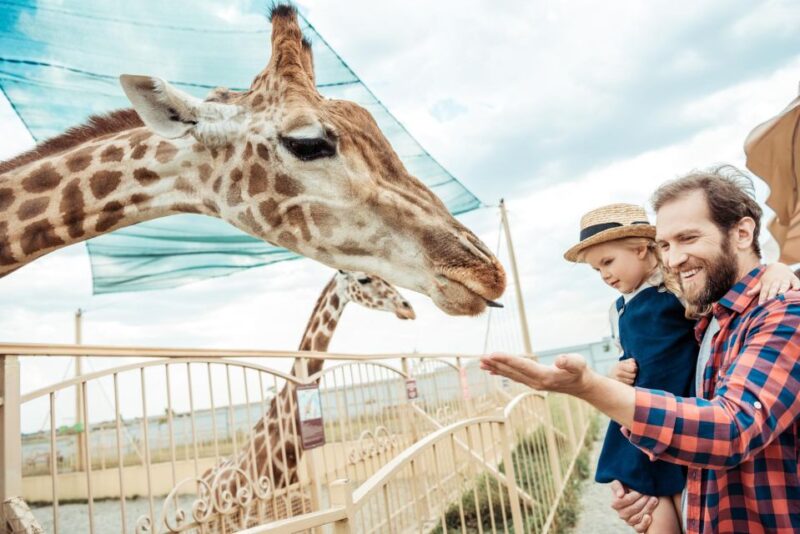 From Krakow: Zoo Trip With Transfer - Inclusions and What to Bring