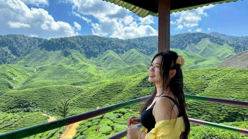 From Kuala Lumpur: Cameron Highlands Day Tour w/Lunch&Pickup - Detailed Breakdown of the Itinerary