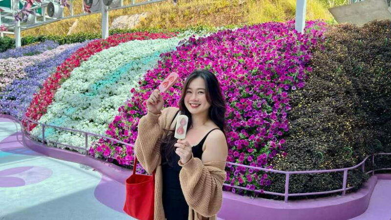 From Kuala Lumpur: Cameron Highlands Day Tour w/Lunch&Pickup - The Overall Experience