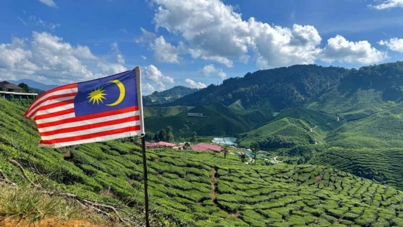 From Kuala Lumpur: Cameron Highlands Day Tour w/Lunch&Pickup - Final Thoughts