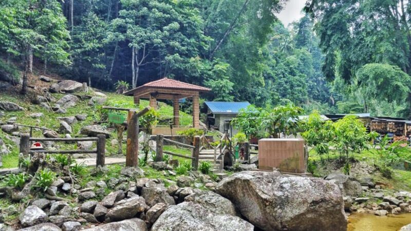 From Kuala Lumpur: Cameron Highlands Day Tour With Lunch - Pricing and Inclusions