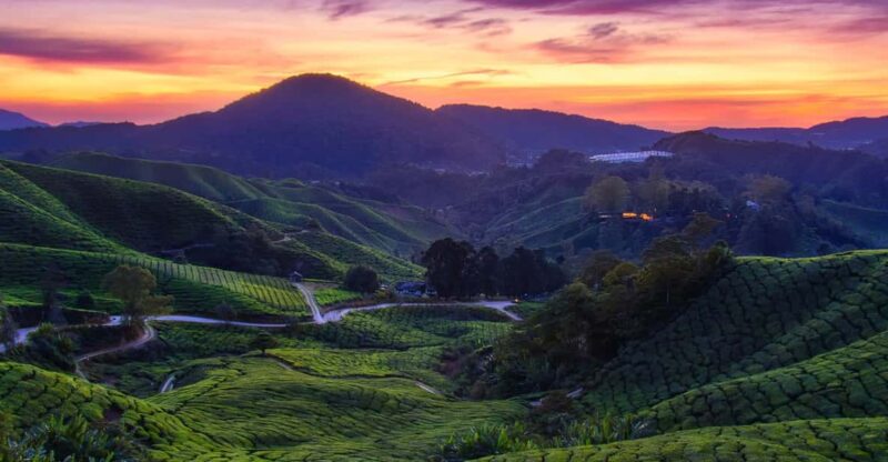 From Kuala Lumpur: Cameron Highlands Private Guided Tour - Itinerary Highlights