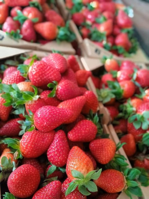 From Kuala Lumpur: Cameron Highlands Private or Join In Tour - Frequently Asked Questions