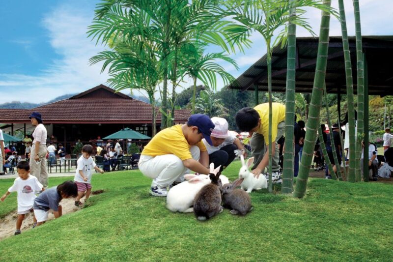 From Kuala Lumpur: Colmar Tropicale and Batu Caves Day Trip - Booking Requirements