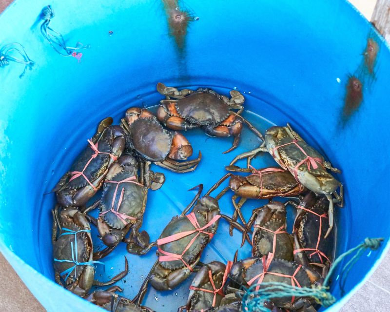 From Kuala Lumpur: Crab Island Tour With Seafood Lunch - Crab Island Exploration