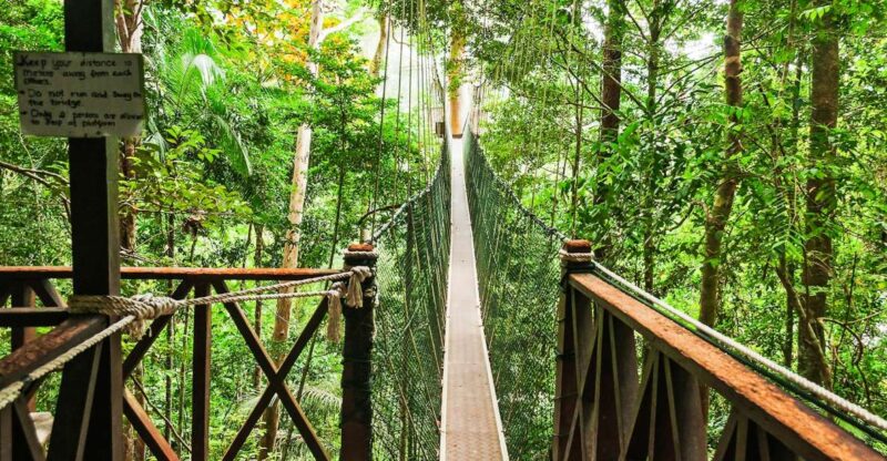 From Kuala Lumpur: Full-Day Taman Negara National Park - Inclusions