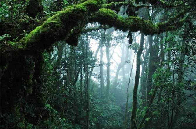 From Kuala Lumpur: Full Day Tour to Taman Negara - Itinerary Details