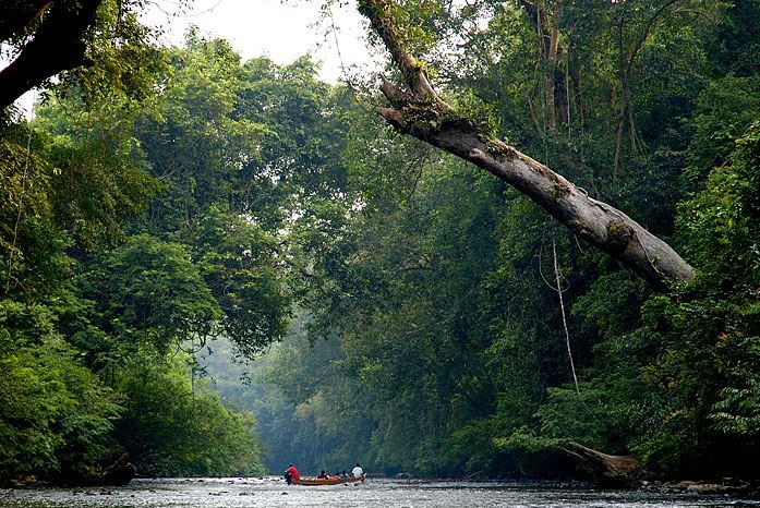From Kuala Lumpur: Full Day Tour to Taman Negara - Pickup Locations