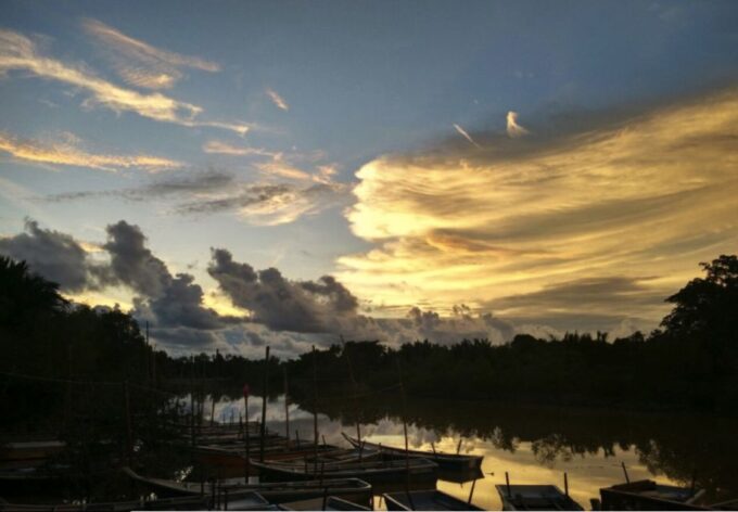From Kuala Lumpur: Kuala Selangor Fireflies Tour With Dinner - Important Information