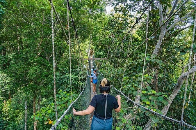 From Kuala Lumpur Taman Negara Day Trip With Lunch - Who Is This Tour Best For?